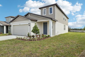 Tampa Division - Benton Hills - Lot 0030 - 3634 Moscato Drive, Brooksville, FL 34602 - 003