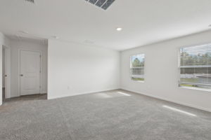 Tampa Division - Benton Hills - Lot 0030 - 3634 Moscato Drive, Brooksville, FL 34602 - 031