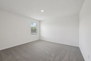 Tampa Division - Benton Hills - Lot 0030 - 3634 Moscato Drive, Brooksville, FL 34602 - 040