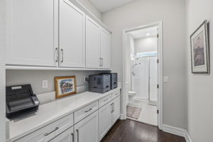 22 - 3636 Madison Cypress Dr, Lutz, FL 33558