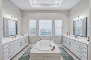 27 - 3636 Madison Cypress Dr, Lutz, FL 33558