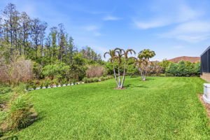 53 - 3636 Madison Cypress Dr, Lutz, FL 33558