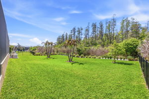 52 - 3636 Madison Cypress Dr, Lutz, FL 33558