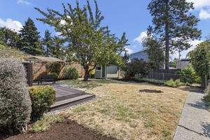 The backyard has room to spread out—open ground through the middle, mature planting around the edges, and the shed tucked out of the way at the far end.