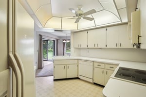 Aster Dr-S0207-011.jpg