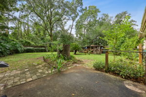 Backyard