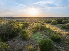 Photo 50
