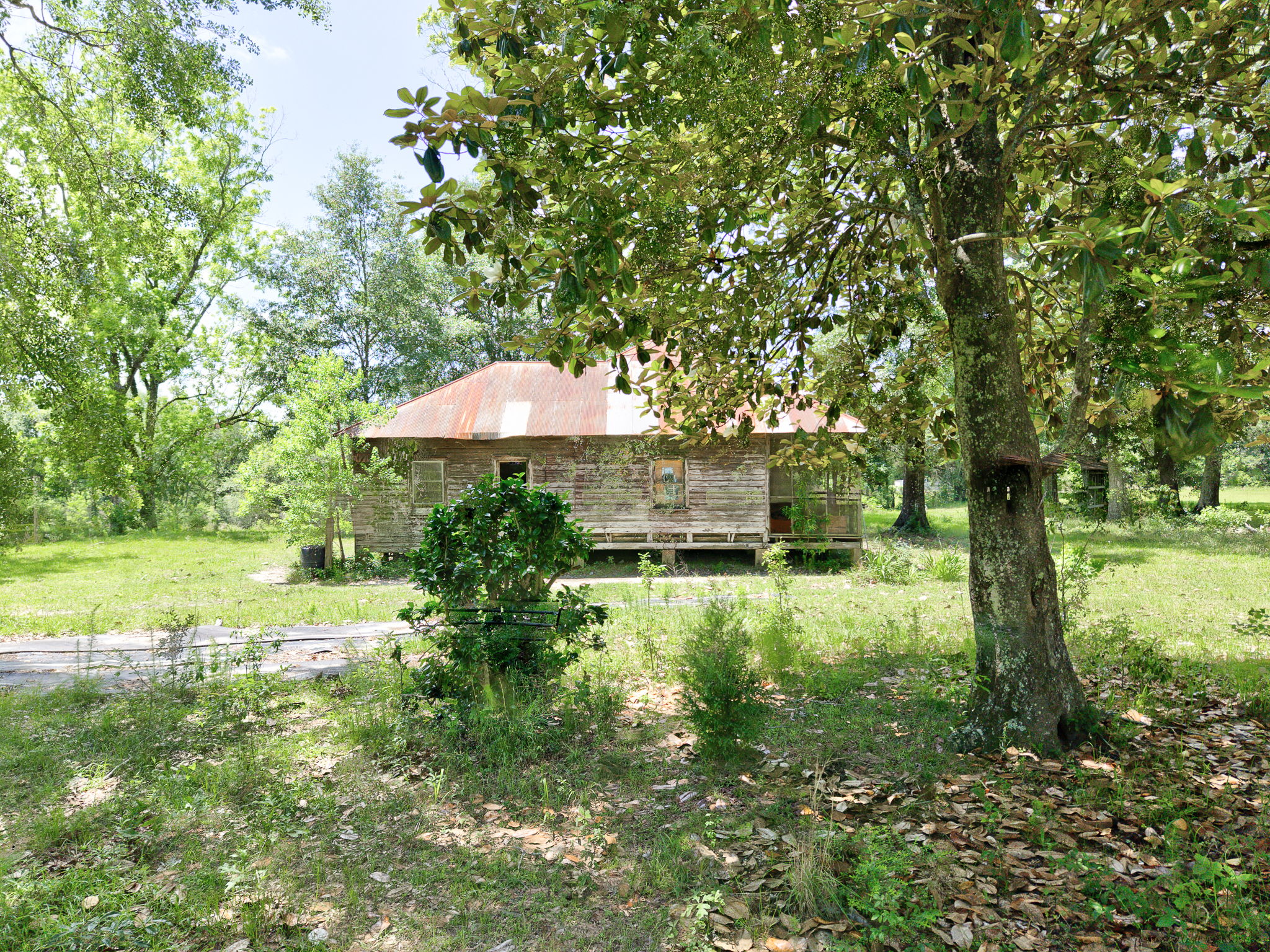  Photo 45