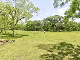  Photo 30