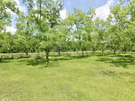  Photo 34