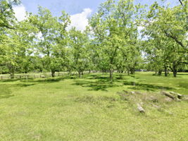  Photo 35