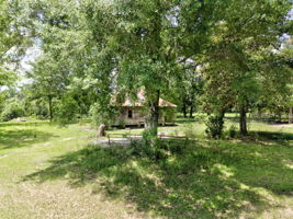  Photo 42