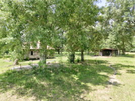  Photo 43