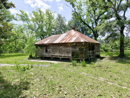  Photo 46