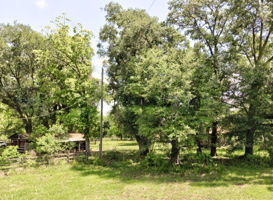  Photo 49