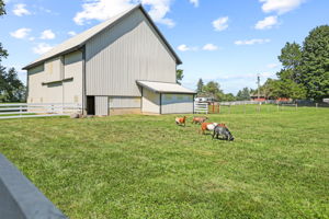  Photo 49