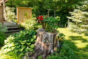  Photo 46