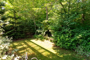  Photo 52