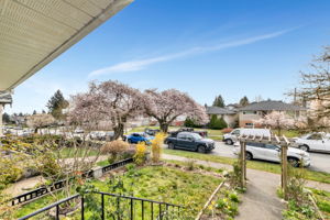 View from Front of Home