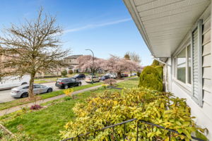 View from Front of Home