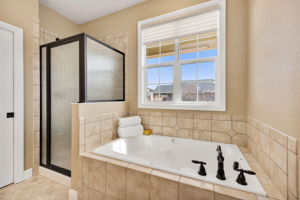 Large soaker tub and walk in shower