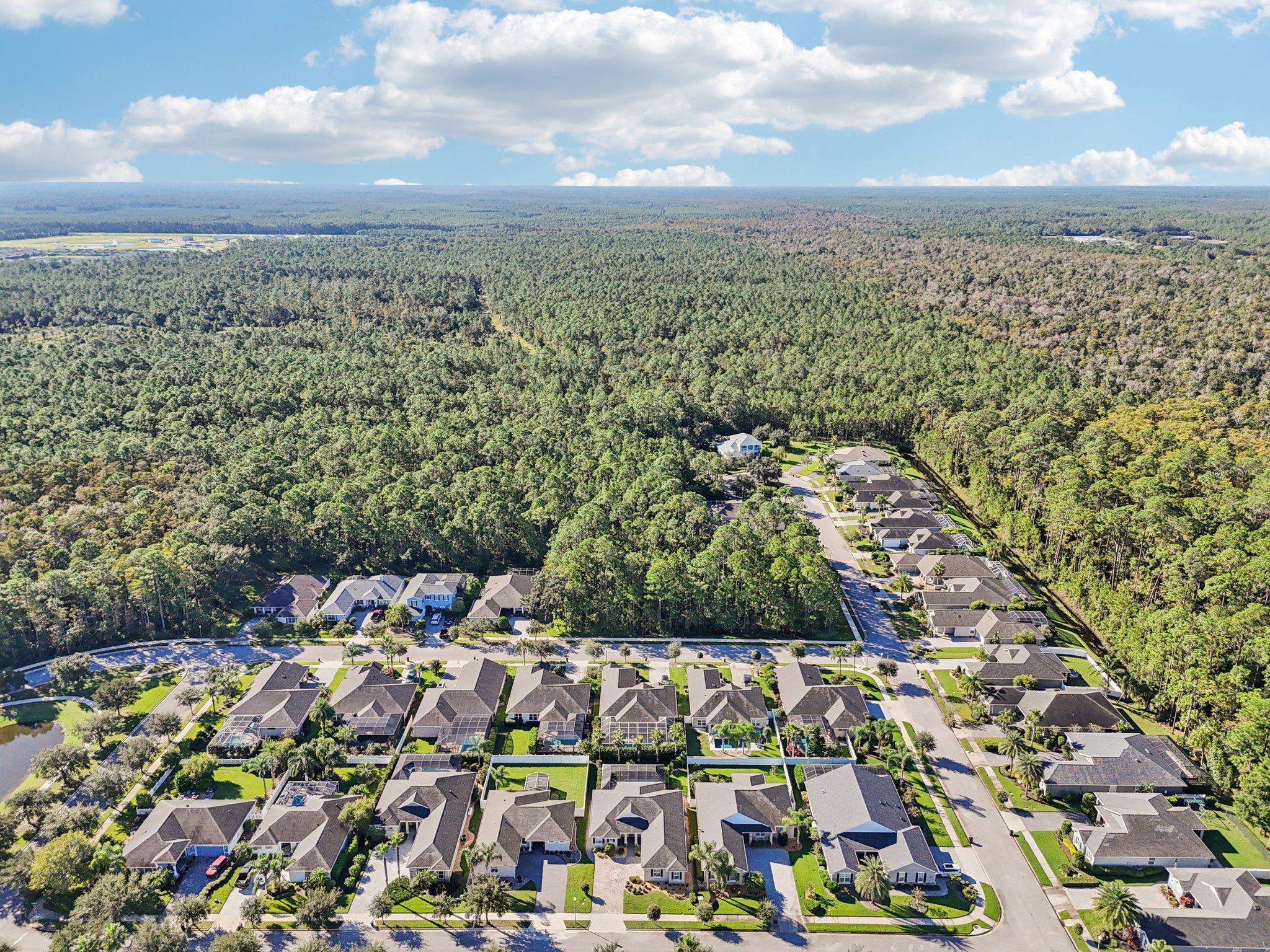 Pini Ave-S1410-046.jpg