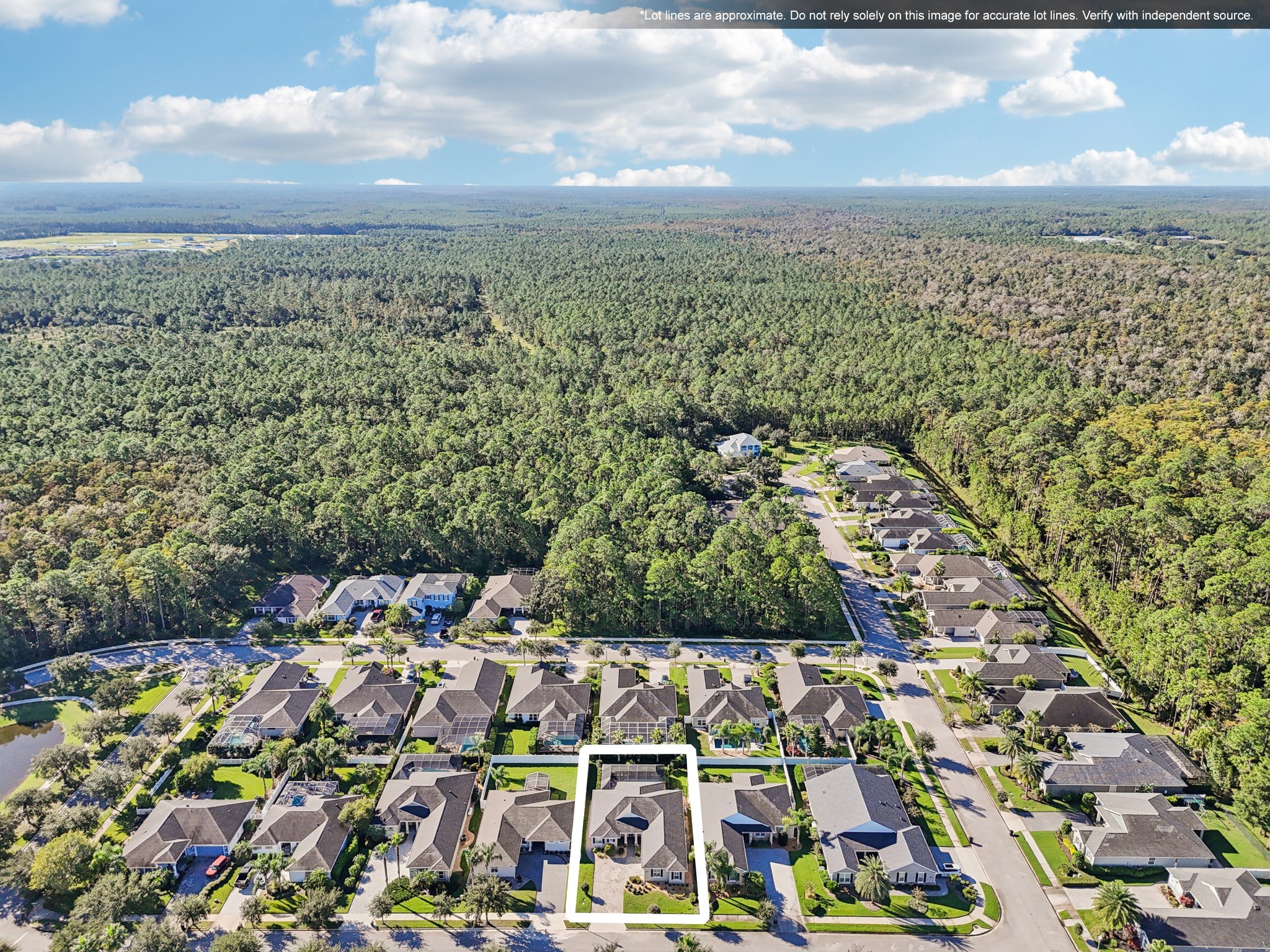 Pini Ave-S1410-047.jpg