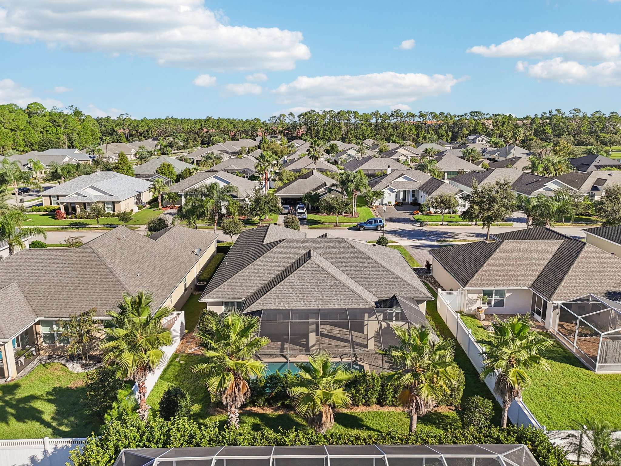 Pini Ave-S1410-053.jpg