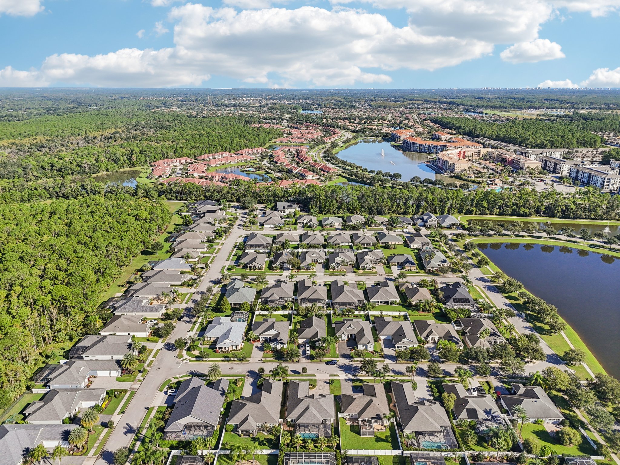 Pini Ave-S1410-057.jpg