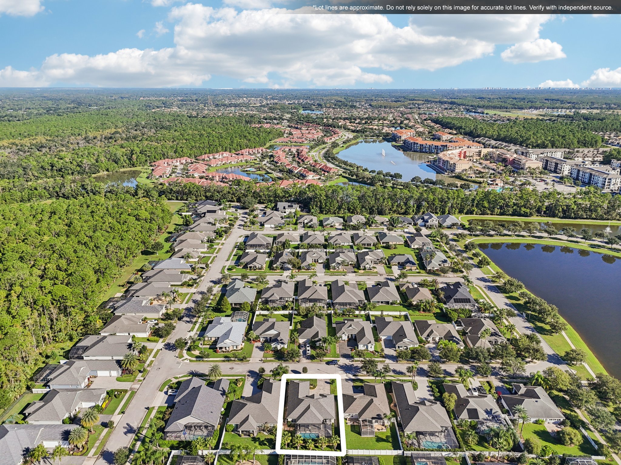 Pini Ave-S1410-058.jpg