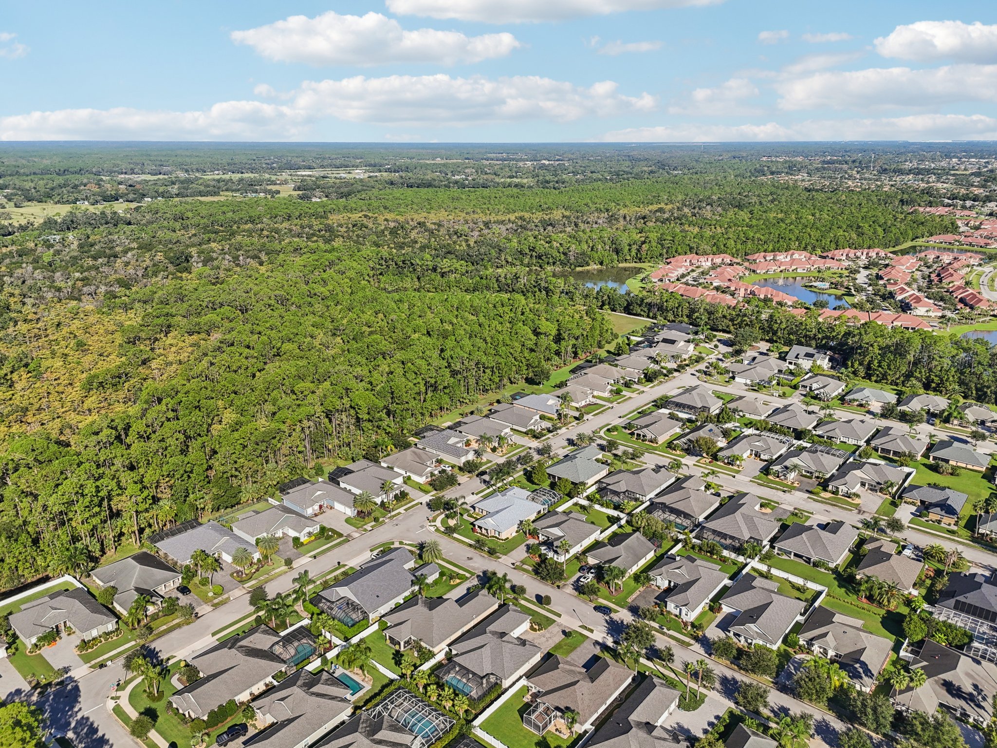 Pini Ave-S1410-059.jpg