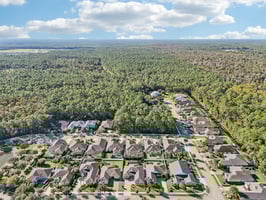 Pini Ave-S1410-046.jpg