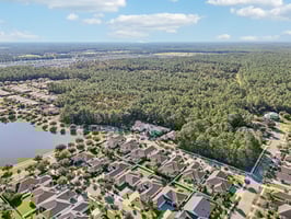 Pini Ave-S1410-050.jpg