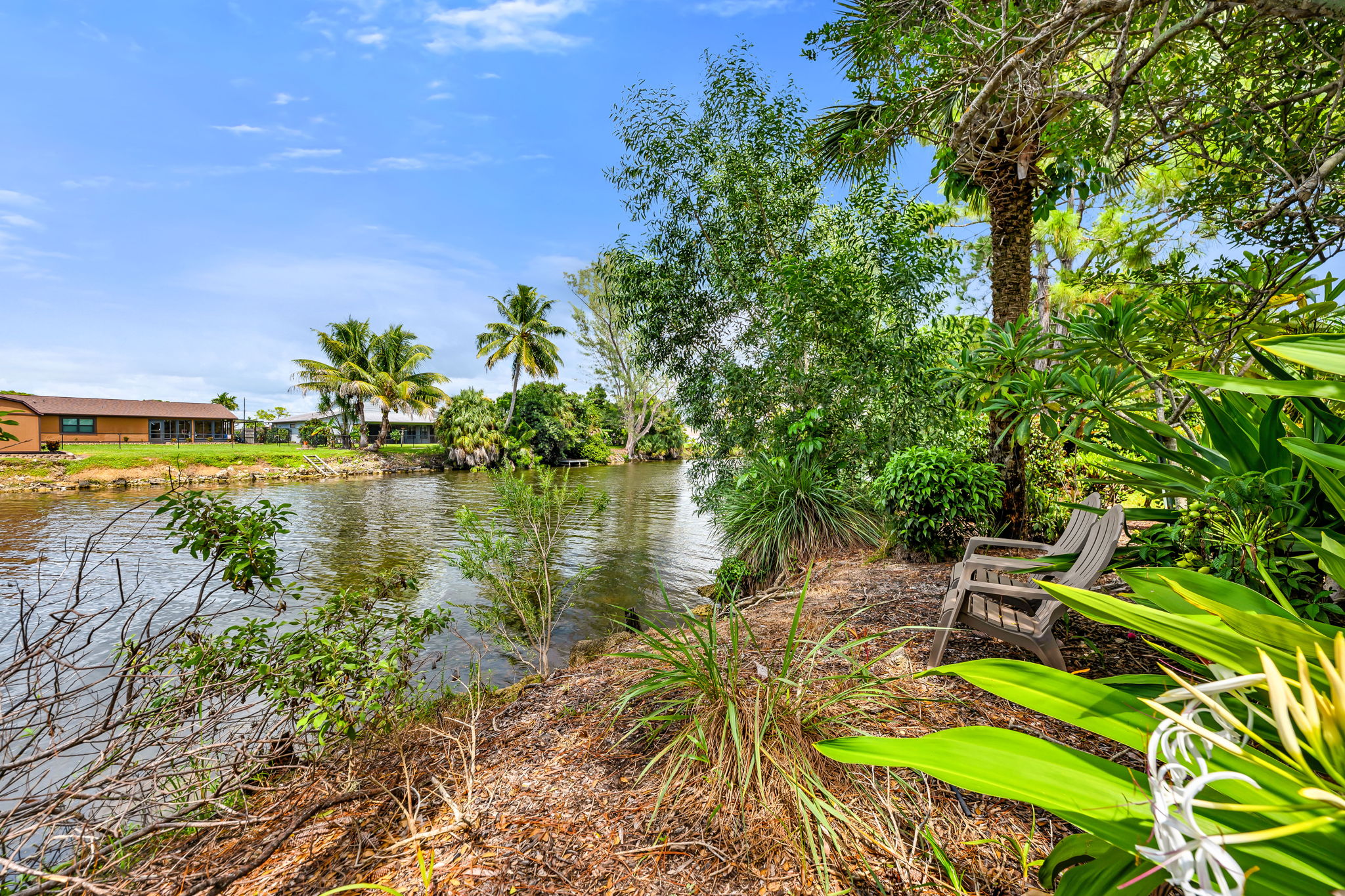 River View