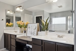 Master Dual Vanity