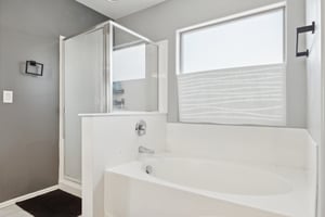Master Tub/ Shower