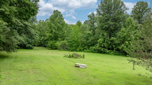  Photo 31