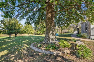 36605 E Pink Hill Rd-10