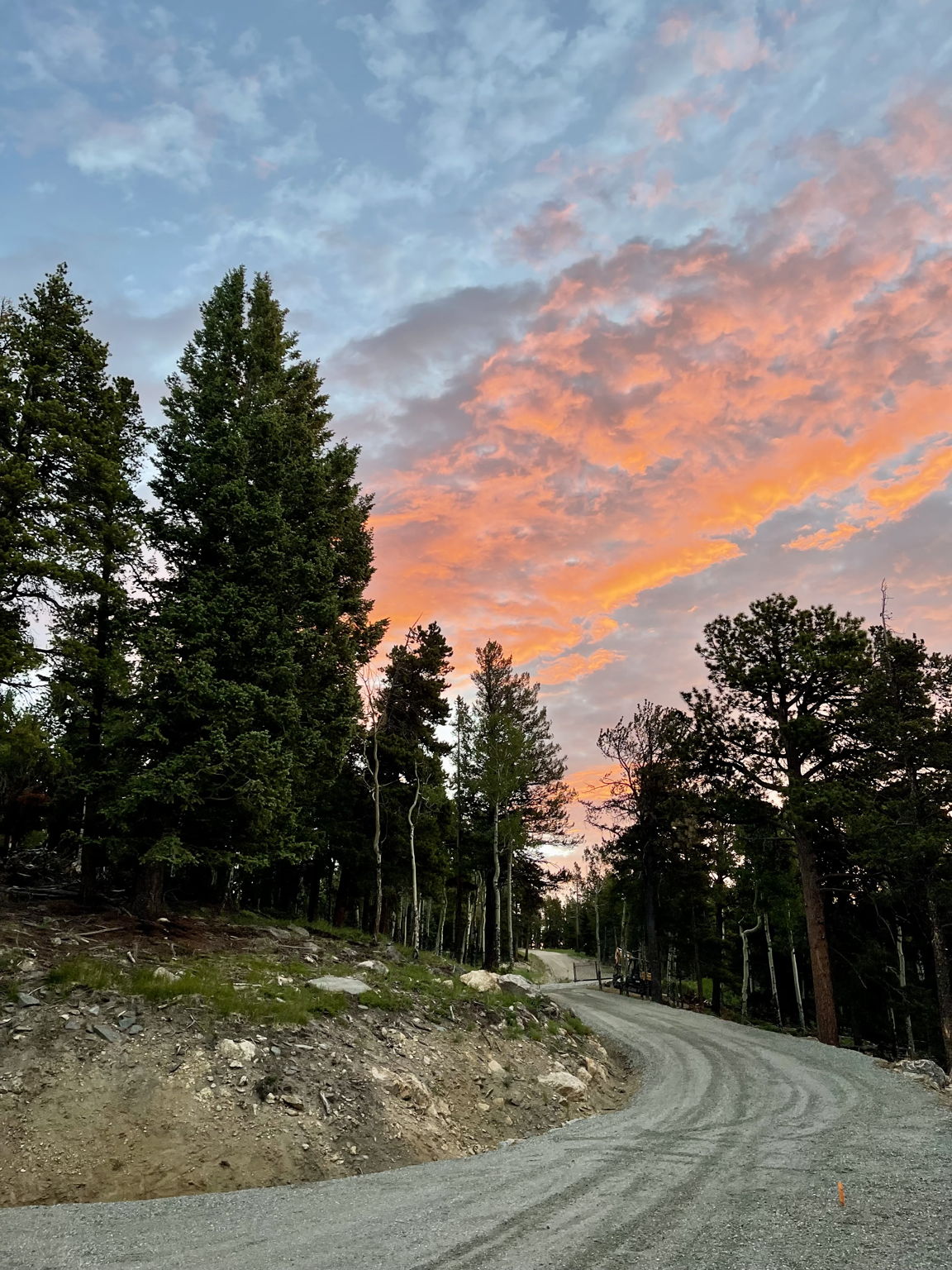 Access drive at sunset.