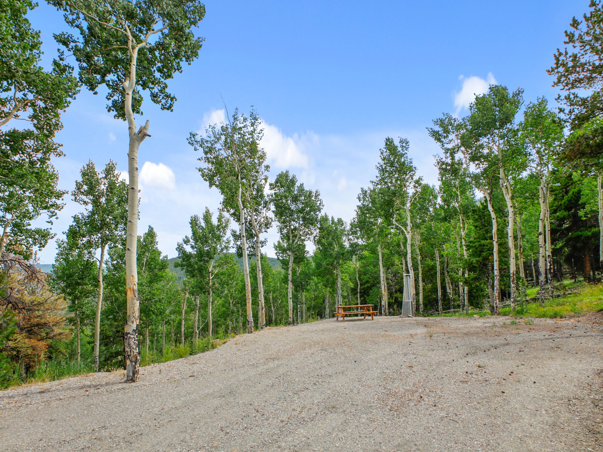 Gravel access drive.