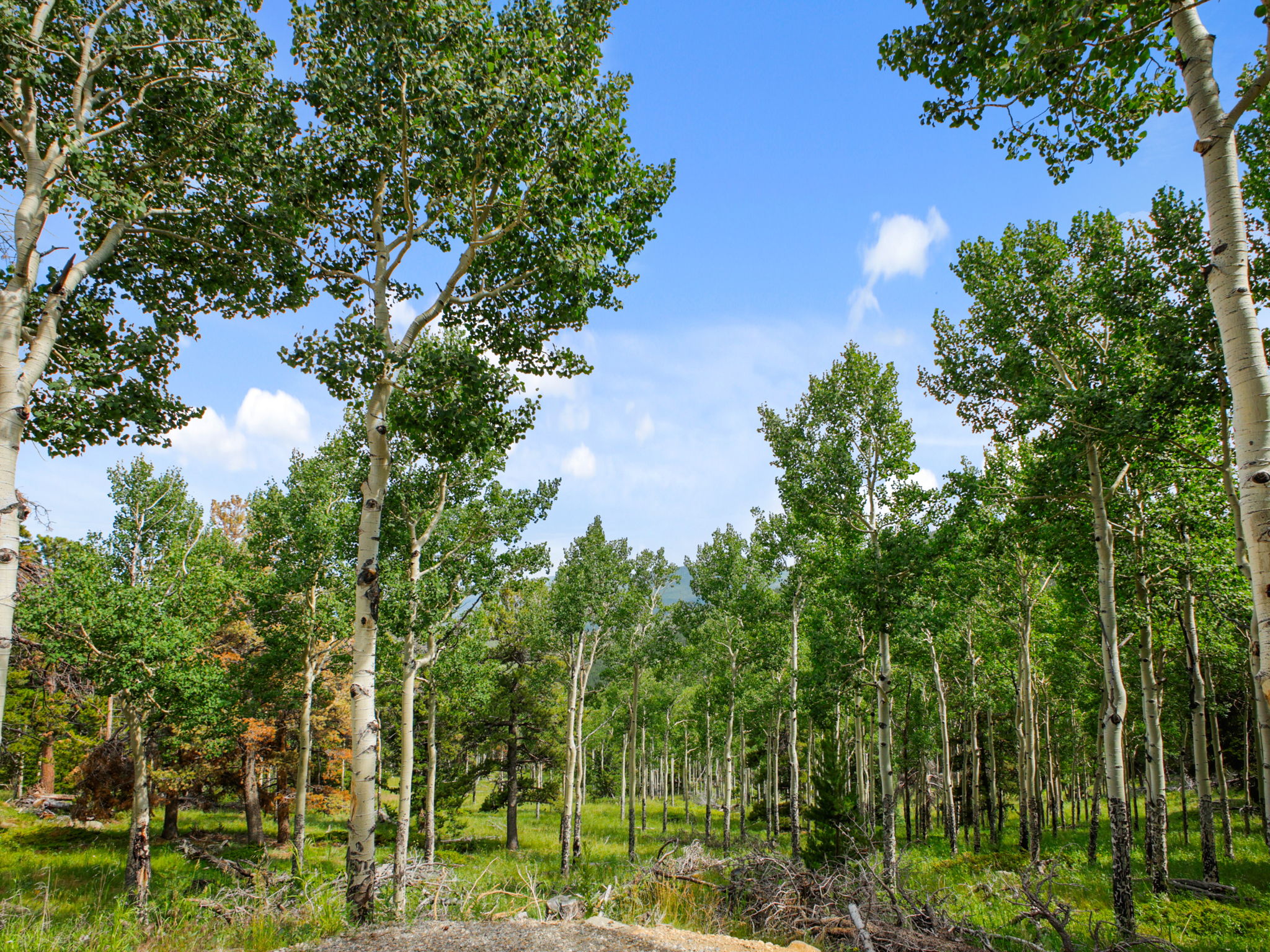 Private access to a neighborhood trail system.