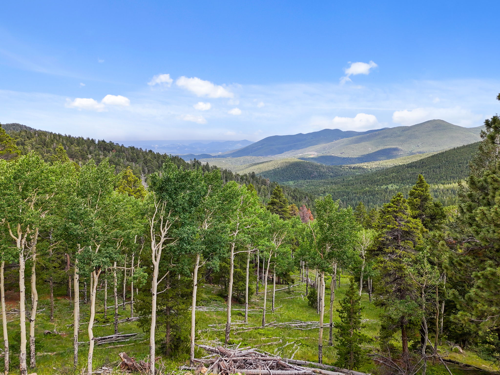 Your slice of paradise in the Foothills!