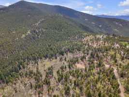 Property in Spring view 2.