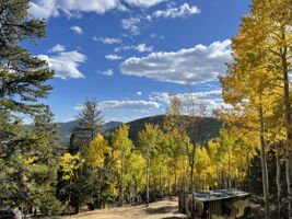 View from the building site in Fall.