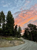 Access drive at sunset.