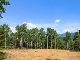 Beautiful spot to build!