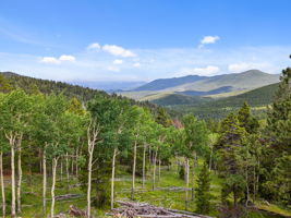 Your slice of paradise in the Foothills!