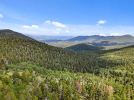 35 acres in Evergreen.