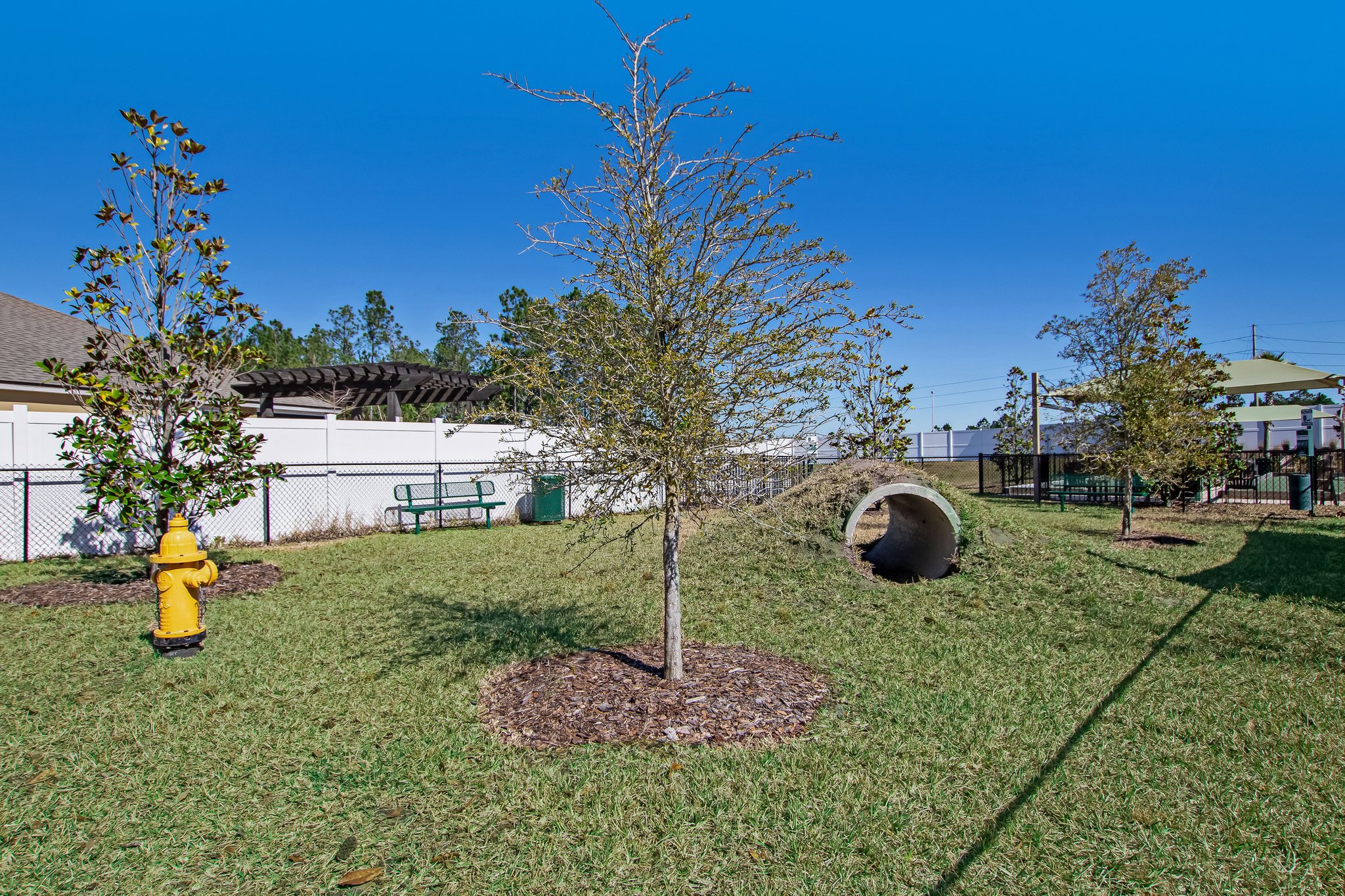 Freedom at Arbor Mil