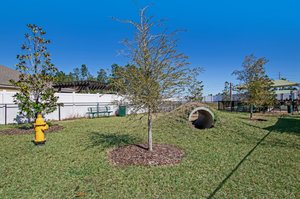 Freedom at Arbor Mil